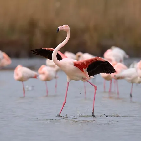 La Croisiere-7 By Interhome לה-גרו-דו-רואה